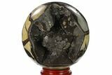 Polished Septarian Geode Sphere - Madagascar #134430-2
